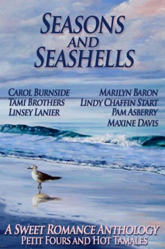 Cover art for Seasons and Seashells anthology